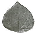 click for enlargement