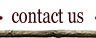 contact Zed