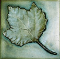 click for enlargement
