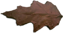 click for enlargement